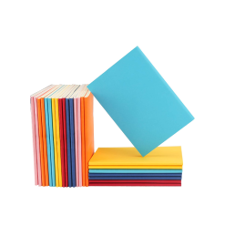 Craft Notebooks (Multicolor)